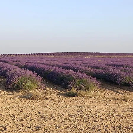 펜션 La Real Herreria 마드리갈 데 라스 알타스 토레스