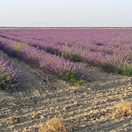 La Real Herreria * 마드리갈 데 라스 알타스 토레스