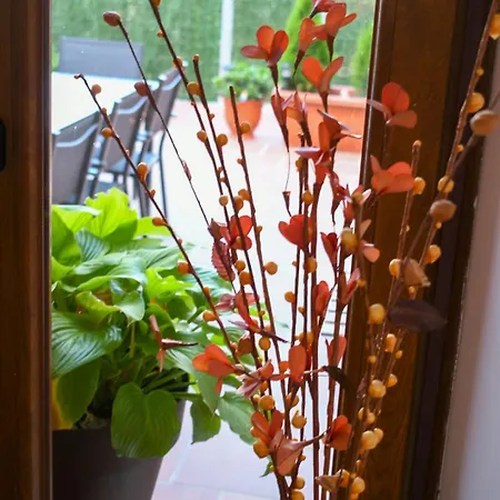 La Real Herreria 펜션 마드리갈 데 라스 알타스 토레스